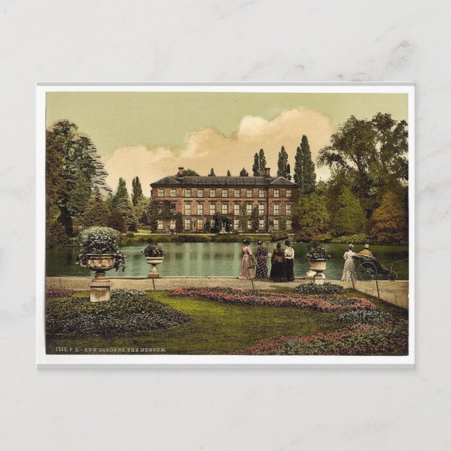 Kew Gardens, das Museum, London und Vororte, Engla Postkarte (Vorderseite)