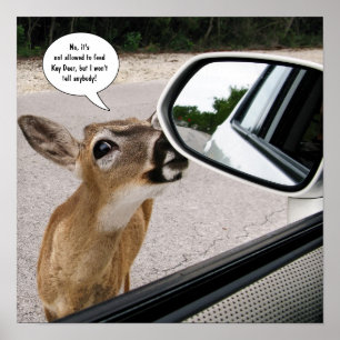 Key Dee Speaker Poster