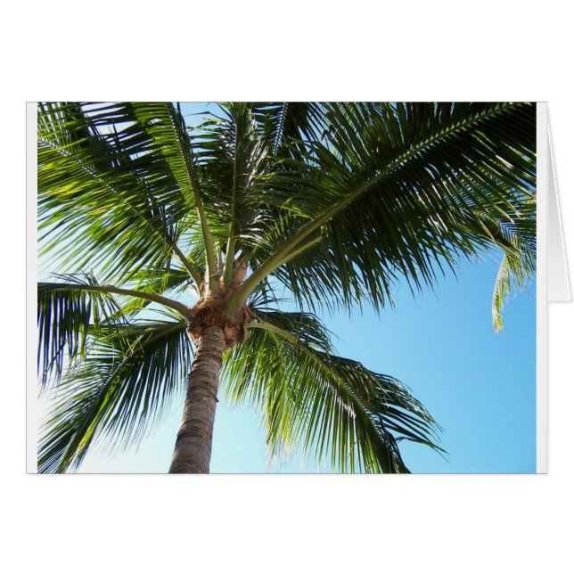 Key West (Vorderseite (Horizontal))