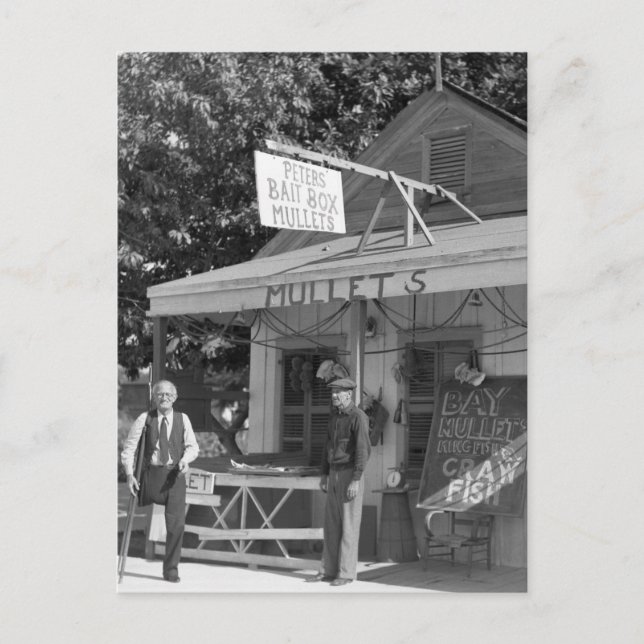 Key West Bait Shop, 1930 Postkarte (Vorderseite)
