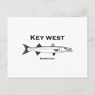 Key West Barracuda Postkarte