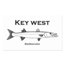 Key West Barracuda