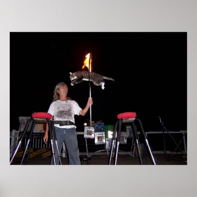 Key West Cat Man Poster (Vorne)