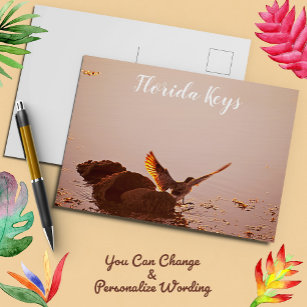 Key West Florida Bird mit gestreiften Flügeln Postkarte