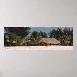 Key West Florida mit Palmen Poster