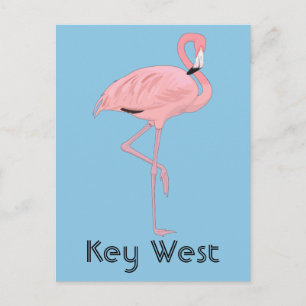 Key West Florida Rosa Flamingo Postkarte