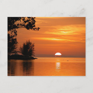 Key West Florida Sunset Postkarte