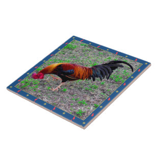 Key West-Hahn Fliese