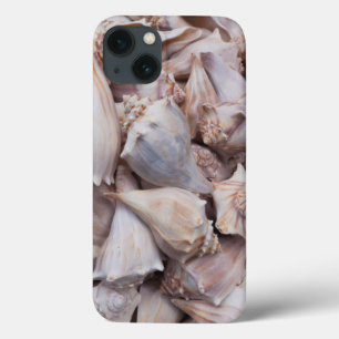 Key West, Muscheln Case-Mate iPhone Hülle