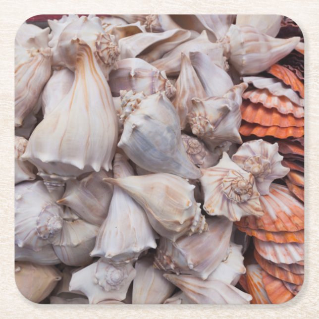 Key West, Muscheln Rechteckiger Pappuntersetzer (Vorderseite)