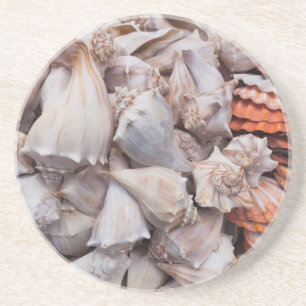 Key West, Muscheln Sandstein Untersetzer