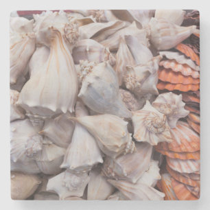 Key West, Muscheln Steinuntersetzer