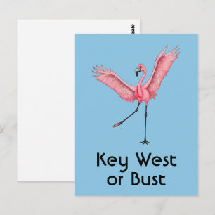 Key West oder Pleite Lustiger Rosa Flamingo aus Fl Postkarte