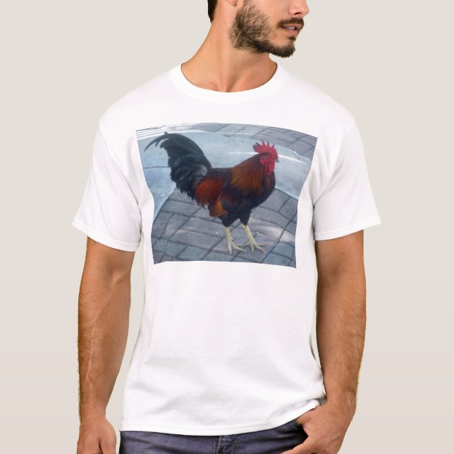 Key West Rooster T-Shirt (Vorderseite)