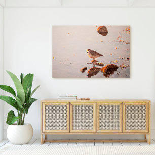 Key West Shorebird Reflektion Florida Keys Leinwanddruck