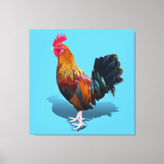 Key West - Sinti und Roma Rooster Leinwanddruck