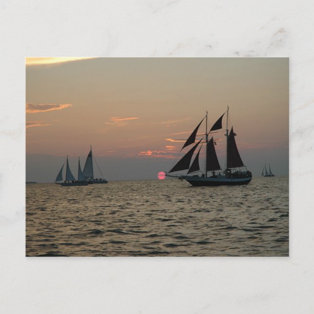 Key West Sunset Postcard Postkarte (Vorderseite)