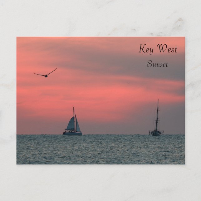 Key West Sunset Postcard Postkarte (Vorderseite)