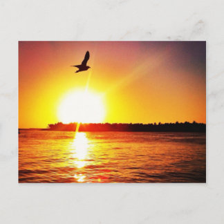 Key West Sunset Postkarte