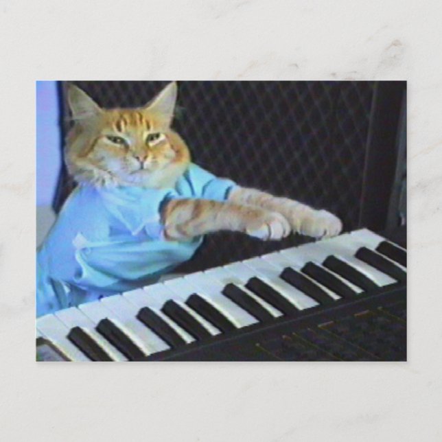 Keyboard Cat Postcard! Postkarte (Vorderseite)