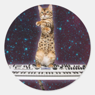 Keyboard-Katze schlägt wieder Runder Aufkleber