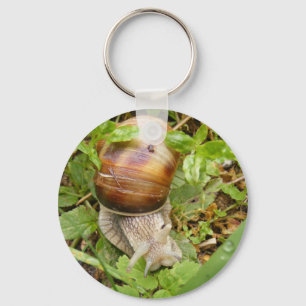 Keychain with snail. schlüsselanhänger