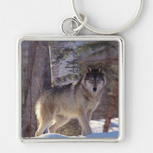 Keychain-Wolf Keychain Schlüsselanhänger