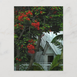 KeyWest Zin Room Post Card Postkarte