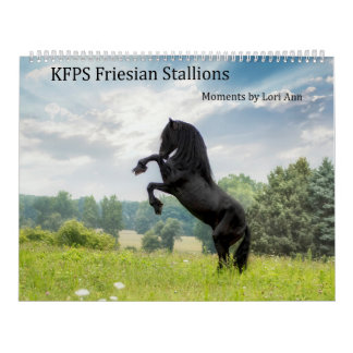 KFPS Friesian Stallion Calendar Kalender