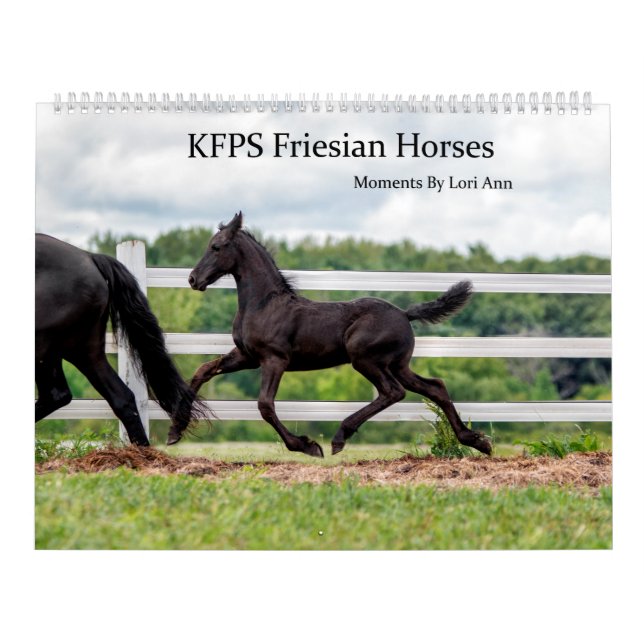 KFPS Friesische Pferde Kalender (Titelbild)