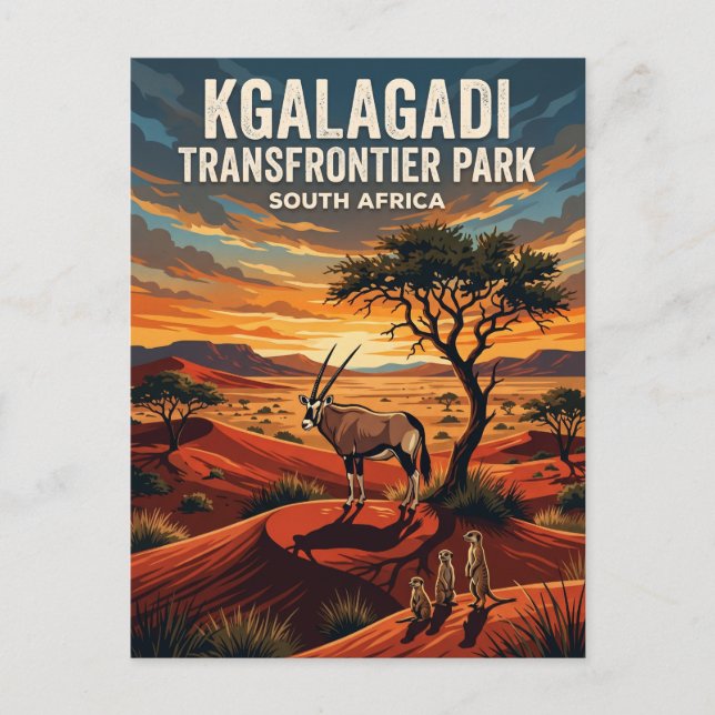 Kgalagadi-Transfrontier-Park Südafrika Postkarte (Vorderseite)