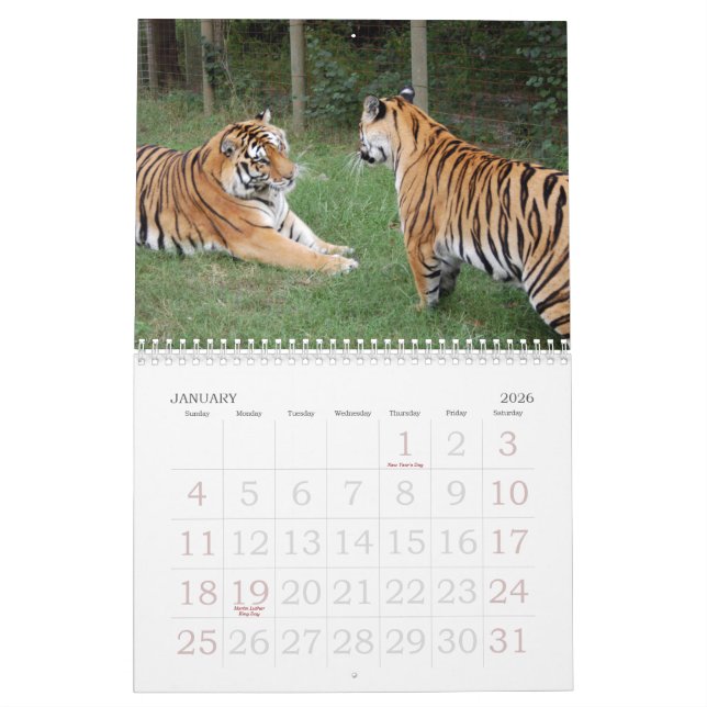 khan-n-china010, Shere Khan und China Dollthe B… Kalender (Jan 2026)