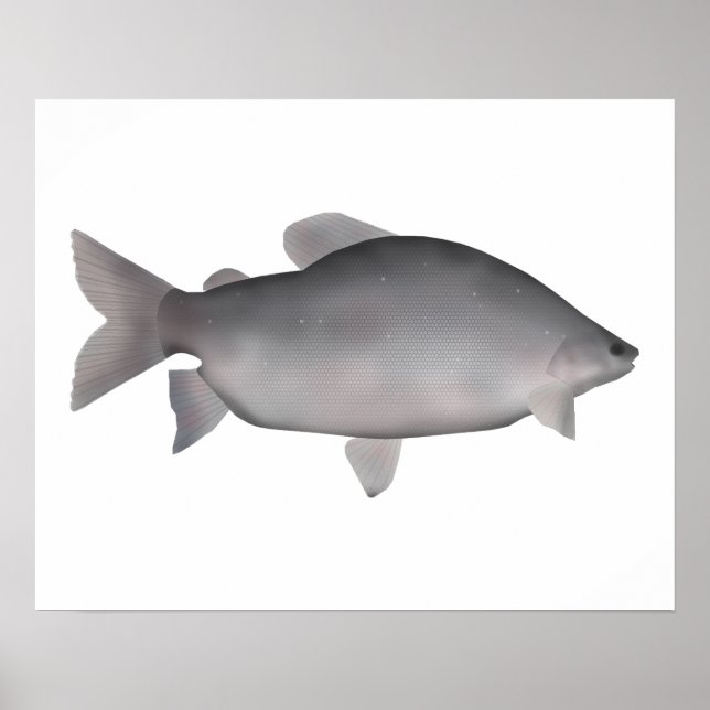 Khraish Poster (Vorne)