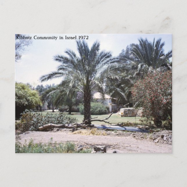 Kibbutz-Gemeinschaft in Israel Postkarte (Vorderseite)
