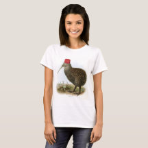 Kibitz Vogel mit Fez Absurd Vintage