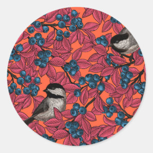 Kichervögel auf Blaubeeren-Ästen auf Orange Runder Aufkleber