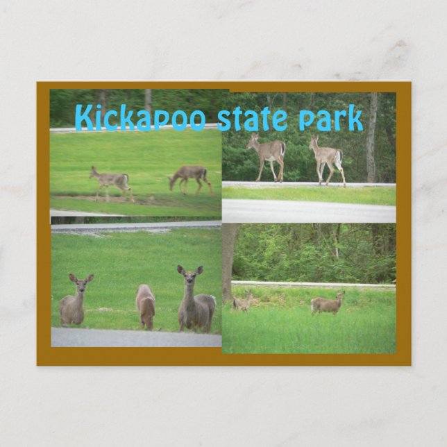 Kickapoo Deer Postkarte (Vorderseite)