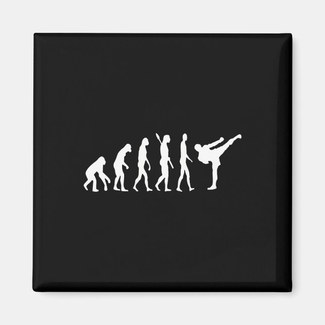 Kickboxen Evolution Karate Arti Taekwondo Judo  Magnet (Vorne)