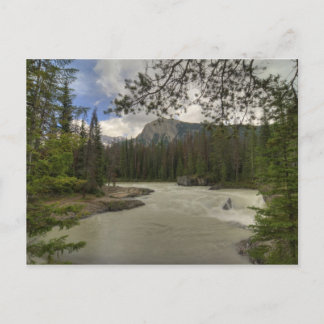 Kicking Horse River Postkarte