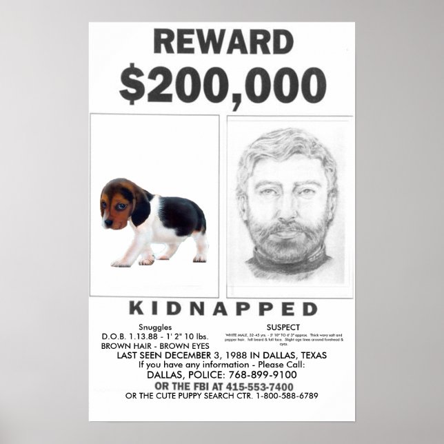 Kidnapped VOLL ZUSTOMIZABLE Poster REWARD (Vorne)