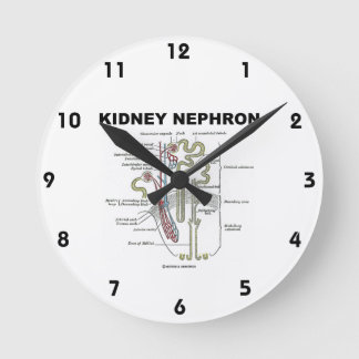 Kidney Nephron Gray's Anatomy-Lehrbuch Runde Wanduhr