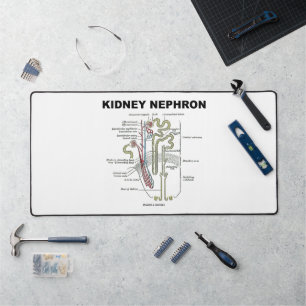 Kidney Nephron Gray's Anatomy-Lehrbuch Schreibtischunterlage