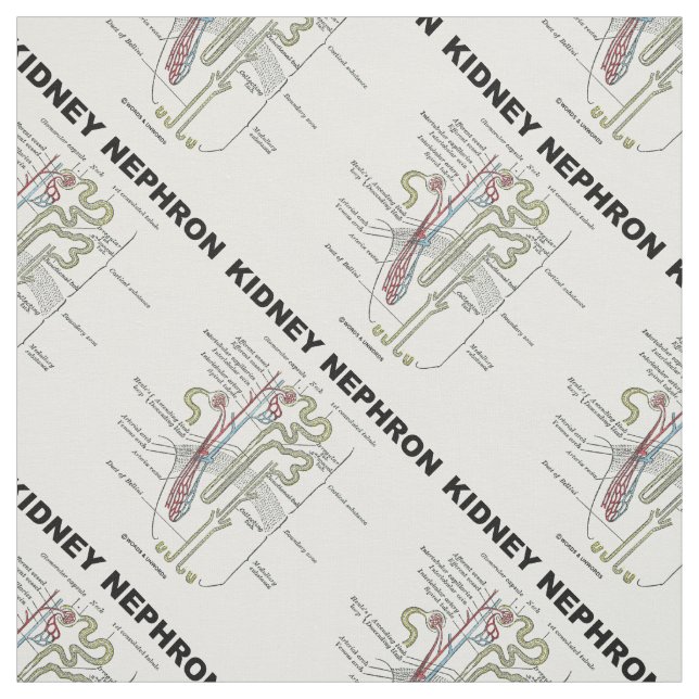 Kidney Nephron Gray's Anatomy-Lehrbuch Stoff (Muster)