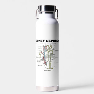 Kidney Nephron Gray's Anatomy-Lehrbuch Trinkflasche