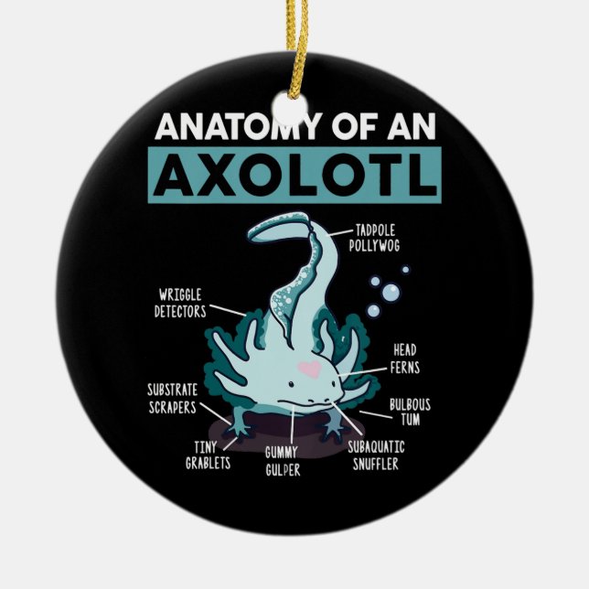 Kids Anatomie eines Axolotl mexikanischen Walking  Keramik Ornament (Vorne)
