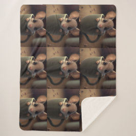 Kids/Babyshower Gift Cute Blanket Sherpadecke