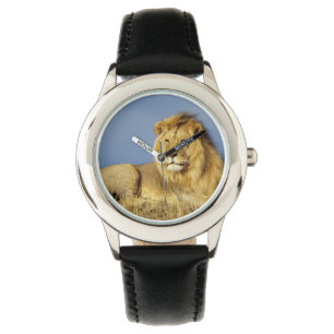 Kids Classic Watch/Wildlife Lion Armbanduhr