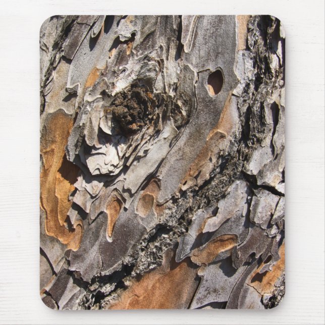 Kiefer-Barke Mousepad (Vorne)