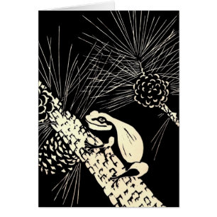 Kiefer barrens Baumfrosch