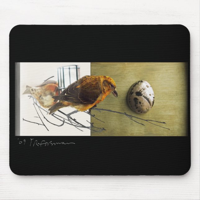 Kiefer Grossbeak Vogelcollage Mousepad (Vorne)
